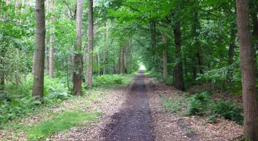 B&B Woodside Torhout Zewnętrze zdjęcie